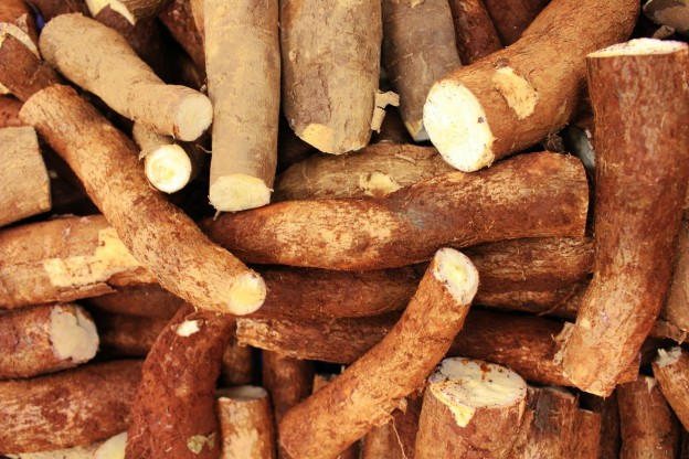 cassava root crops in close up photography